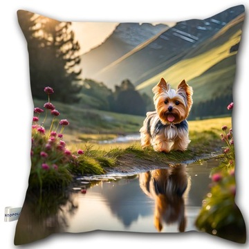 Poduszka dekoracyjna 40x40 / Poduszka z psem / Yorkshire terrier