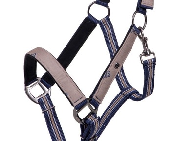 QHP Kantar с Focus Cob