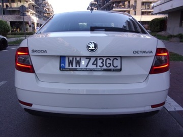 Skoda Octavia III Liftback Facelifting 2.0 TDI 150KM 2019 Skoda Octavia III 2.0 TDI Automat, zdjęcie 11