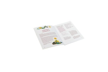 Эликсиры для здоровья и красоты. Вина, ликеры, мед, уксусы