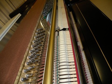 Идеальное фортепиано от Rosler-Petrof