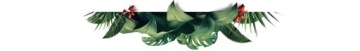 Кофе в зернах 1 кг PERU Villa Rica 100% ARABICA - свежеобжаренный - Blue Orca