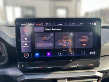 Cupra Formentor Crossover 2.0 TSI 310KM 2024 Cupra Formentor 2.0 TSI 310KM 4Drive Navi System+, zdjęcie 18