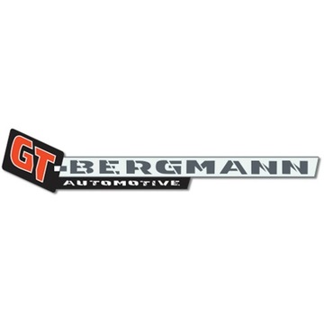 GT BERGMAN CHLADIČ KLIMA FIAT 500 07-