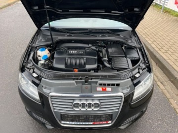 Audi A3 8P Hatchback 3d 1.6 102KM 2009 Audi a3 AUTOMAT KLIMATYZACJA PARKTRONIC EL.SZYBY EL.LUSTERKA GWARANCJA SER, zdjęcie 20