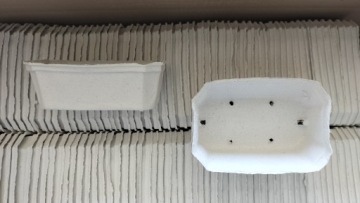 УПАКОВОЧНАЯ ТАРА для малины, клубники, фруктов 0,5