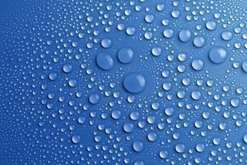 ДОЖДЕВИК с капюшоном на кнопках