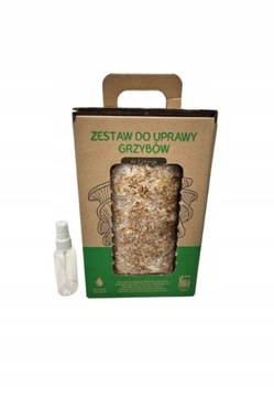Exotic Grow GRZYBNIA Boczniak Cytrynowy Zestaw do DOMOWEJ UPRAWY Grzybów 6L