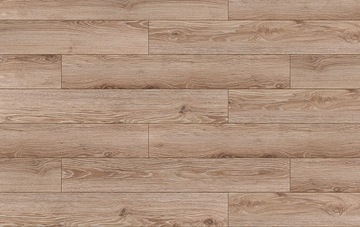 PANELE CLASSEN DĄB ARGENTA LATTE 10mmAC4 35036