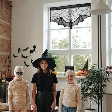 ЧЕРНЫЙ ЗАНАВЕС ДЛЯ ХЭЛЛОУИНА ЛЕТУЯ ПАУТИНКА