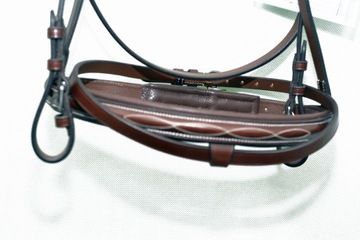 Профилированная анатомическая команда полна