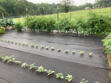 КОВРИК ПРОТИВОРЯНИКИ AGRO НЕТКАНЫЙ 1М Х 50М