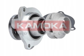 ČERPADLO VODY KAMOKA T0135