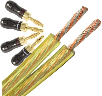 KABEL GŁOŚNIKOWY PROLINK CAV-1001 PROLINK TBC-057