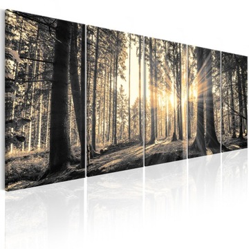murando OBRAZ LAS NATURA 225x90 c-C-0177-b-o