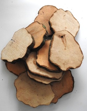 РУЧКА ДЛЯ ШТАМПОВ ДЕРЕВА 20-25 СМ, 1 ШТ.