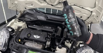 SWAG INTERIOR DRESSING DO PLASTIKÓW WNĘTRZA SAMOCHODOU KOKPITU OCHRONA 0,5L