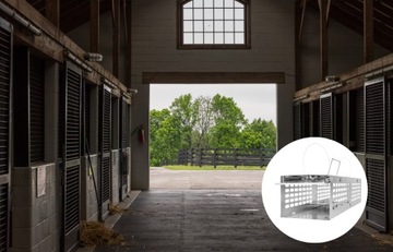 ЛОВУШКА ДЛЯ МЫШИ И ЛОВУШКА ДЛЯ КРЫС