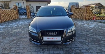 Audi A3 8P Hatchback 3d 1.6 TDI 105KM 2010 Audi A3 Audi A3 1.6 TDI Ambiente