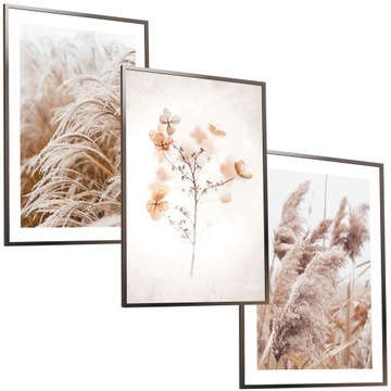 50x40 ZESTAW OBRAZY W RAMIE PLAKATY RAMKA PAMPAS TRAWA SALON NATURA BOHO