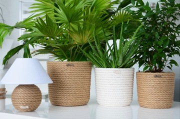 Плетеный джут SCANDI WAZON для букета из композиции сушеных пампасных трав