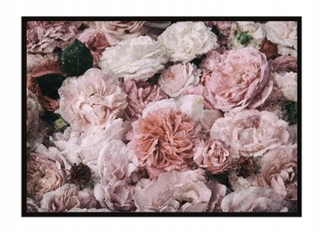 OBRAZ PLAKAT W RAMIE 53x73 cm Kwiaty P1619