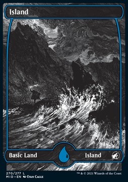 Karta Magic: The Gathering Island (V.1) WIZARDS OF THE COAST