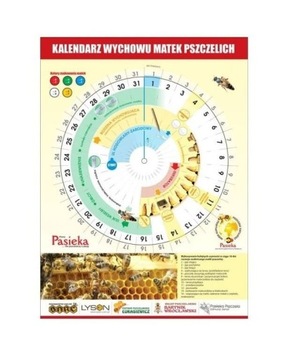 Kalendarz do wychowu matek pszczelich
