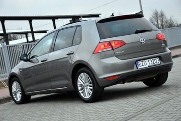 Volkswagen Golf VII Hatchback 3d 1.6 TDI-CR DPF 105KM 2014 Volkswagen Golf VII CUP Edition 1.6TDI 105KM 5drzwi ACC BOGATA Wersja 2014r, zdjęcie 10