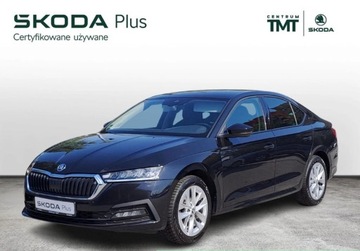 Skoda Octavia IV Liftback 1.5 TSI EVO 150KM 2023 Skoda Octavia Ambition 1.5 TSI e-Tec Mild Hybrid 150 KM DSG Salon PL ASO V