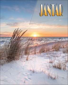 JANTAR - MAGNESY NA LODÓWKĘ