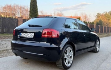 Audi A3 8P Hatchback 3d 1.6 TDI 105KM 2010 Audi A3 3-drzwiowe Audi A3 3-drzwiowe 1.6 TDI DPF Ambition 1.6 Diesel 105KM, zdjęcie 7