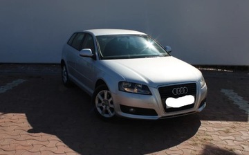 Audi A3 8P Hatchback 3d 1.6 102KM 2010 AUDI A3 1.6 102 KM, zdjęcie 4