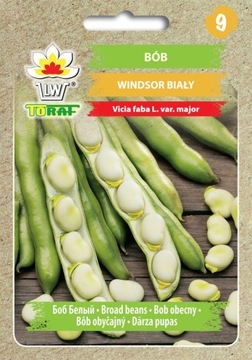 Bób Windsor Biały Średnio-Wczesny Nasiona 50g