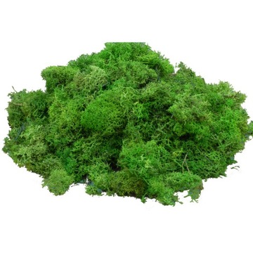 Отходы от Moss Moss Moss Light Green Cardboard 1 кг картон