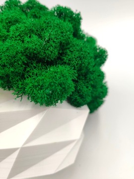 Вазон с мхом хроботек CHROBOTEK MOSS в белом горшке, 3D печать