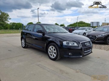 Audi A3 8P Hatchback 3d 1.4 TFSI 125KM 2010 Audi a3 1,4 tfsi 125KM klima elektryka alu xenon grz. fotele oplacony 1.4, zdjęcie 3