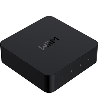 ВииМ ПРО | сетевой аудиоплеер | стример