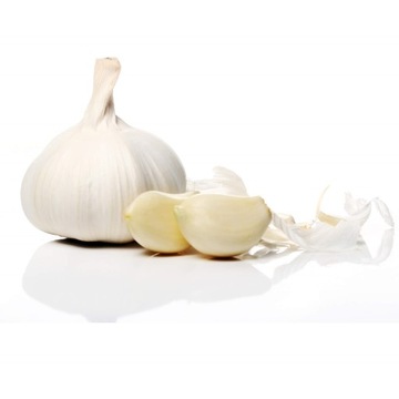 ЧЕСНОЧНАЯ СОКОВЫЖИМКА ДАВЛЕНИЕ ИЗМЕЛЬЧИТЕЛЬ ИЗ НЕРЖАВЕЮЩЕЙ СТАЛИ