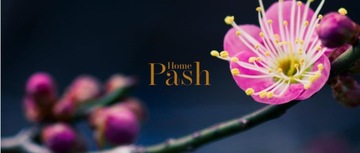 Pash Home Elegant Боросиликатный графин для воды емкостью 1,85 л с фильтром