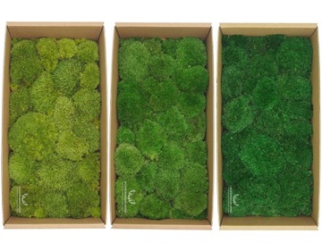 Подушка-коробка для мха 200г NET из Турции