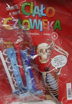 Ciało Człowieka 6/2017