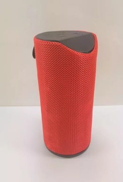 28. GŁOŚNIK PRZENOŚNY T&G 20 W