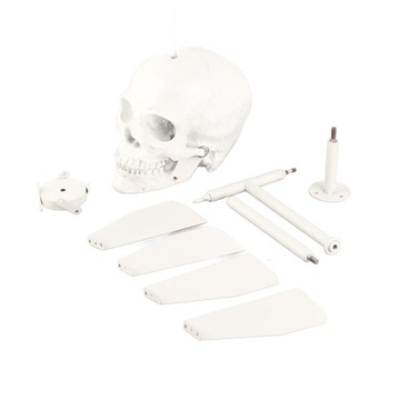 WIATRAK ODSTRASZACZ PTAK OGRODOWY STYL CZASZKI