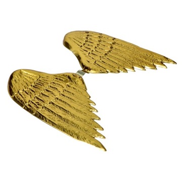 Карнавальный костюм с золотыми крыльями ангела для детей