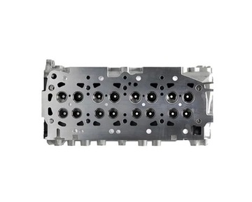 NOVÁ KOMPLETNÍ HLAVA NISSAN CABSTAR NAVARA RENAULT MAXITY 2,5 DCI YD25 E5