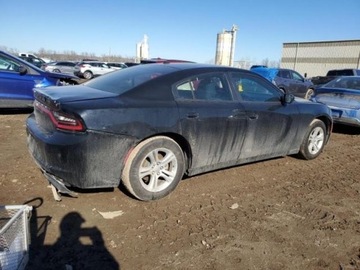 Dodge Charger VII 2022 Dodge Charger 2022r., 3.6L 3.6 Benzyna 292KM, zdjęcie 2