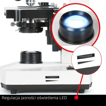 Микроскоп Delta Optical BioStage II