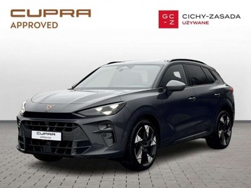Cupra Terramar SUV 2.0 TSI 265KM 2025 Cupra Terramar DSG Kubelki Pamiec foteli Kamera 360 Hak Gwarancja Faktura