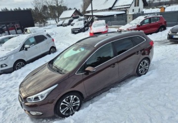 Kia Ceed II Kombi 1.6 GDI 135KM 2014 Kia Ceed 1,6 135 KM Business Line Zarejestrowany w PL 1.6 Benzyna, zdjęcie 26